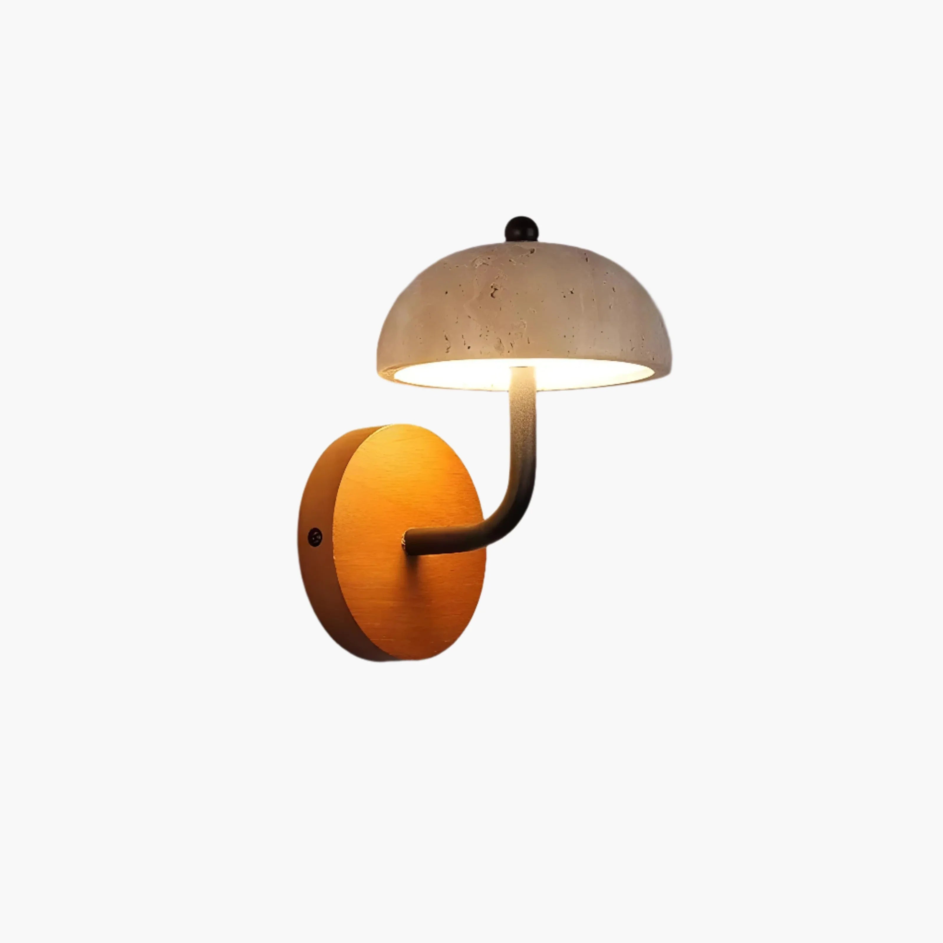 Wall-mounted lamp with a curved arm and dome-shaped shade.