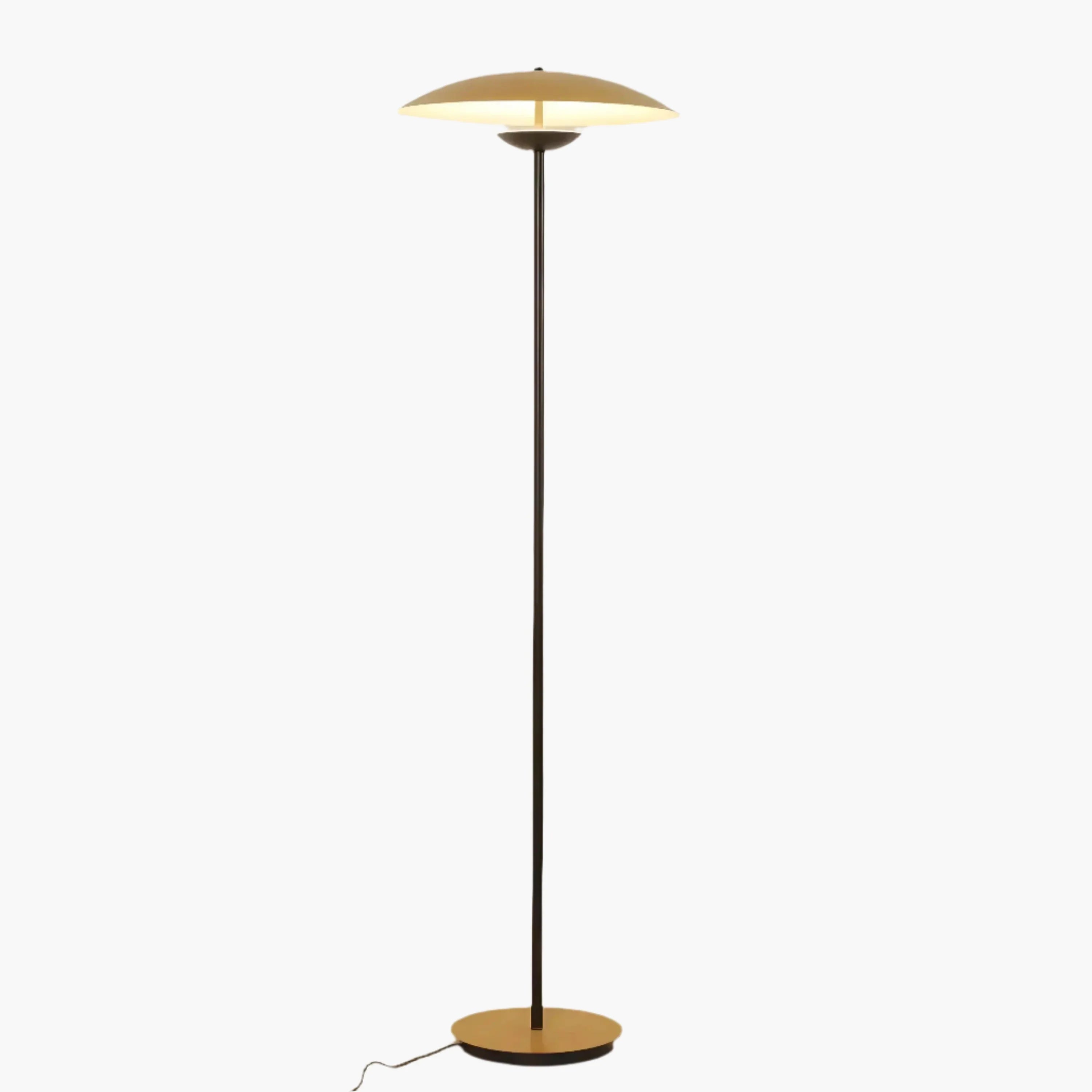 Modern floor lamp with a thin black stand and a wide, flat circular shade.